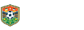 足球直播